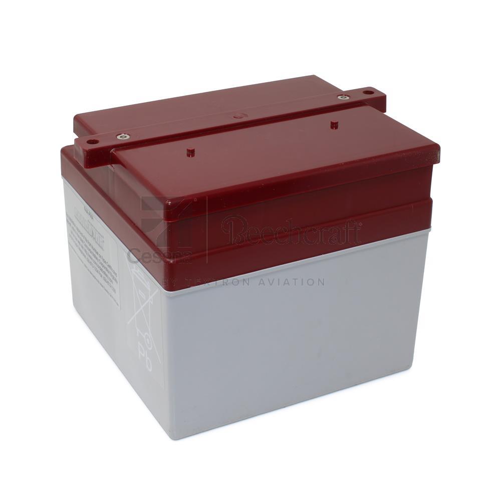 RG24-11M|LEAD ACID BATTERY 24 V 11 AH